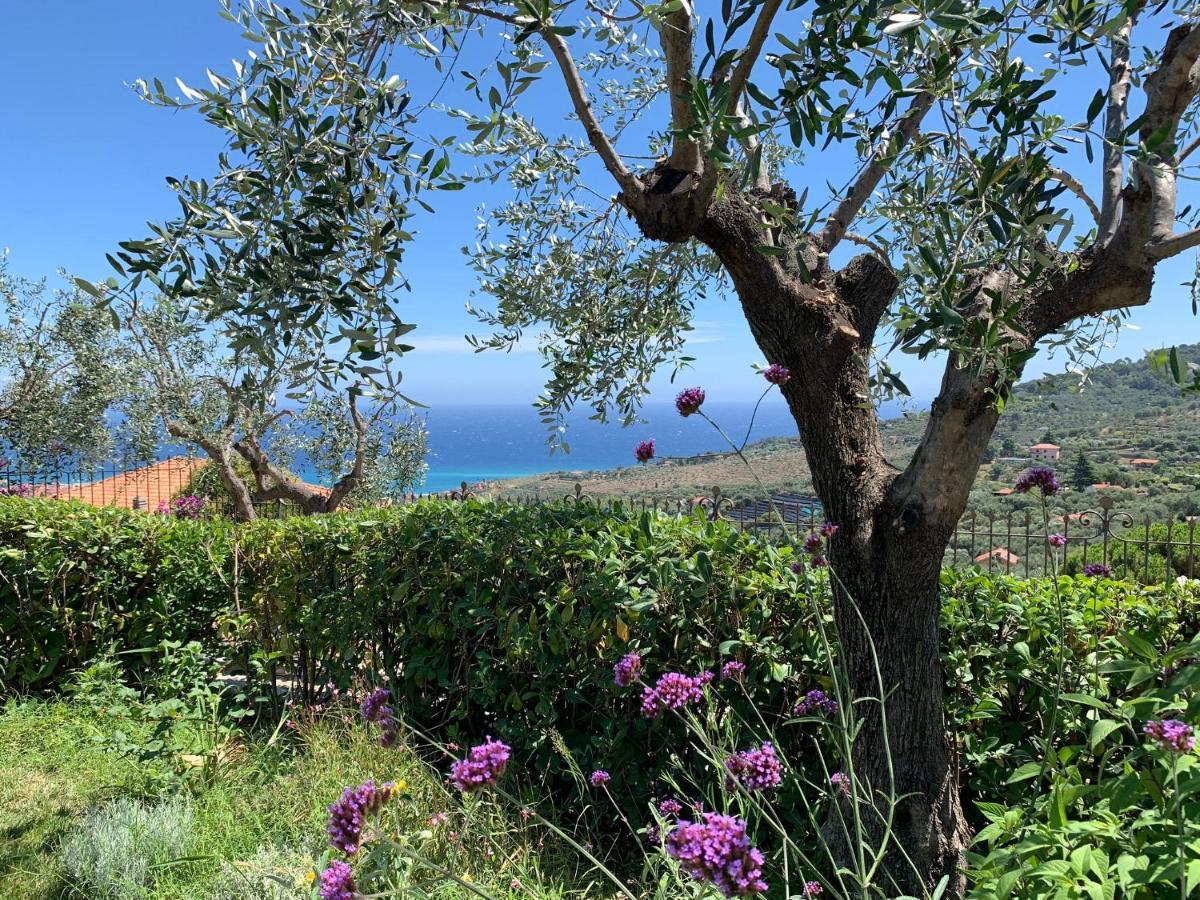 Agriturismo L'Orto Di Muma Gorleri ภายนอก รูปภาพ